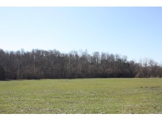 Property photo 5 - REAL ESTATE AUCTION - 366+/- ACRES OFFERED IN 5 TRACTS IN WESTERN JEFFERSON COUNTY, INDIANA
